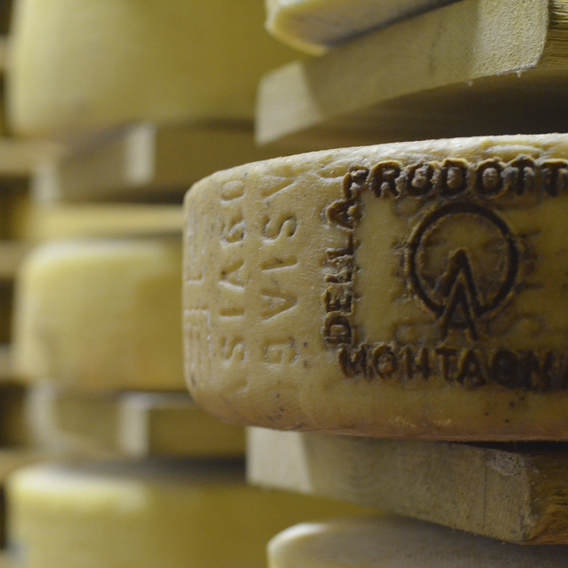 Montitrentini-dettaglio-forma-formaggio