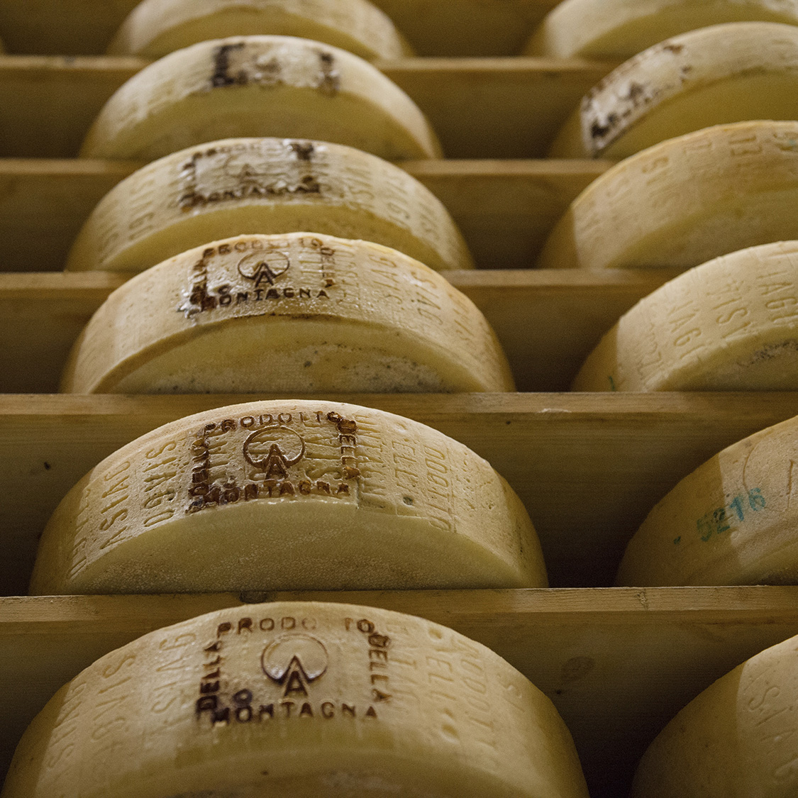 Montitrentini-dettaglio-forme-formaggio