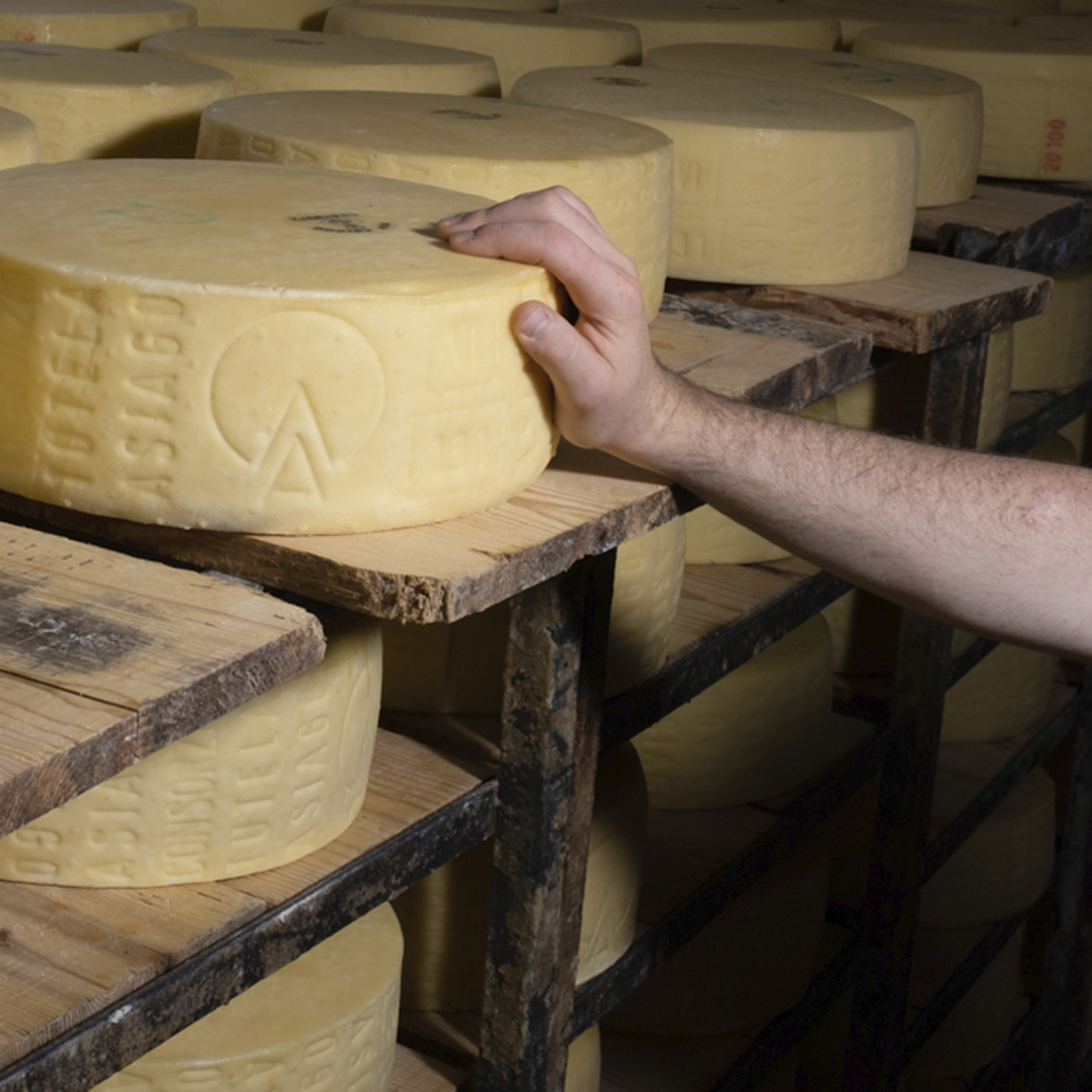 Montitrentini-formaggio-mano