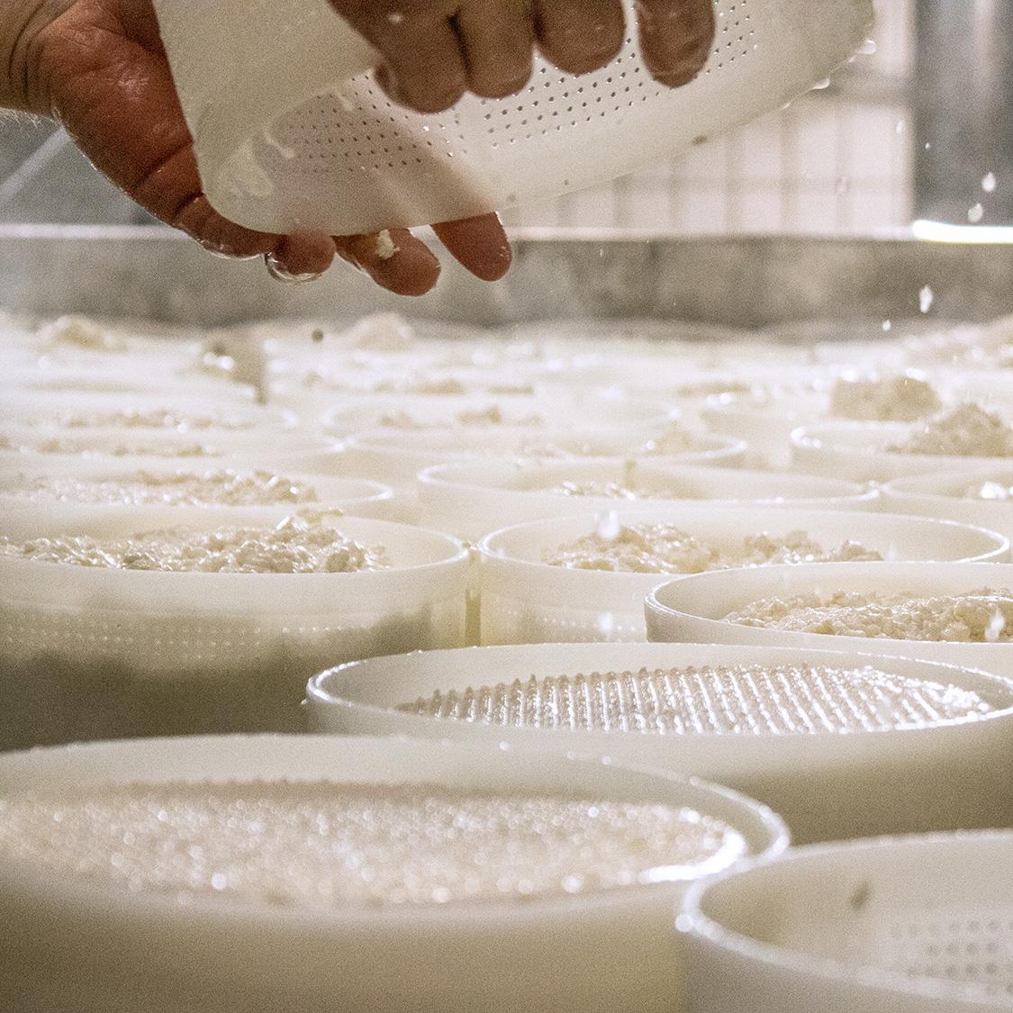 Montitrentini-lavorazione-formaggio
