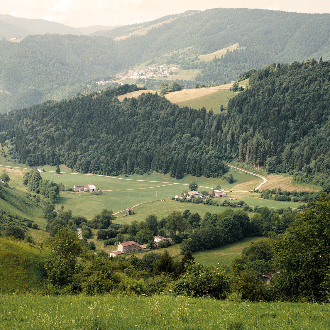Montitrentini-paesaggio-montagna