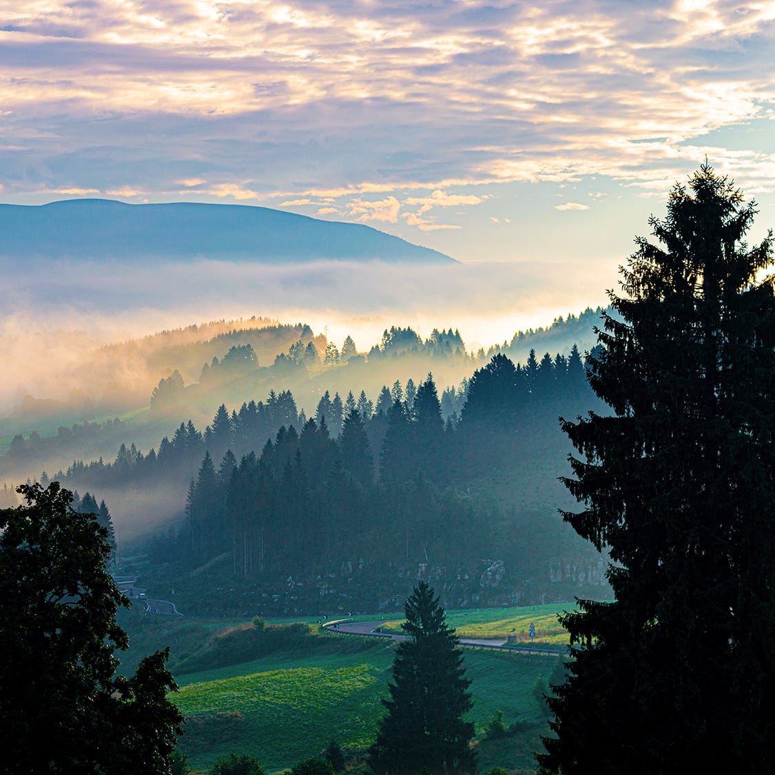 monti-trentini-sostenibilita-salvaguardia-ambientale