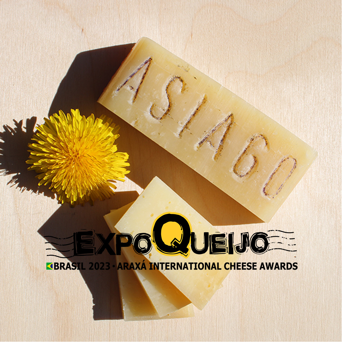 Asiago DOP Stagionato Expo Queijo